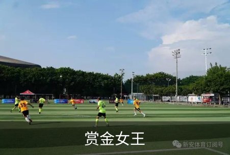 关于赏金女王
