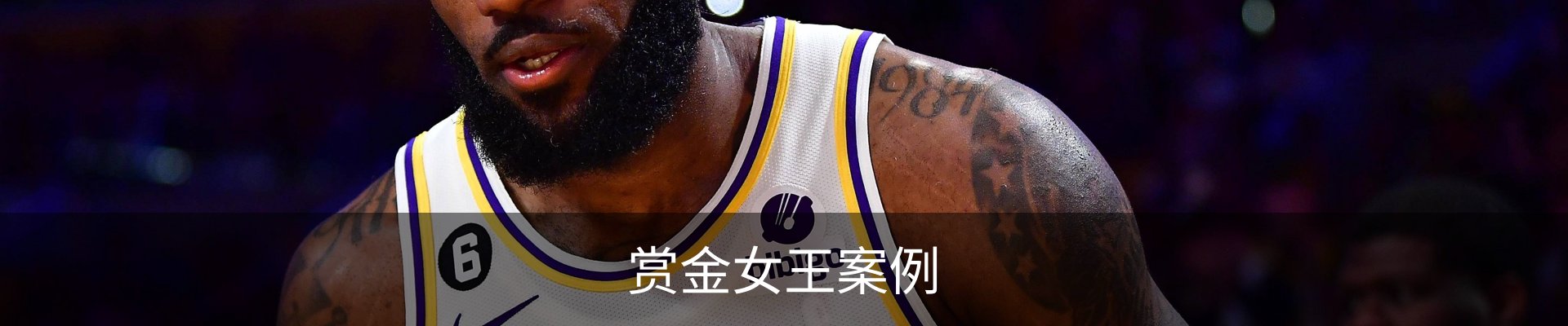 赏金女王案例
